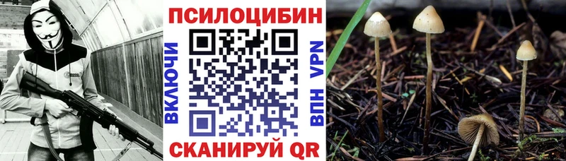 Купить где  Лысково  Псилоцибиновые грибы прущие грибы 